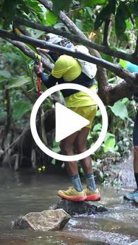 BIB:  <button type="button" onclick="openModal(27824685)" class="btn btn-primary btn-sm float-right" data-toggle="modal" data-target=".modal-high-quality">
                <i class="fa fa-download"></i> Download
                </button>